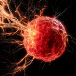 The Neural Hijack: How Triple-Negative Breast Cancer Co-opts the Immune System to Fuel Tumor Growth