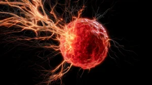 The Neural Hijack: How Triple-Negative Breast Cancer Co-opts the Immune System to Fuel Tumor Growth