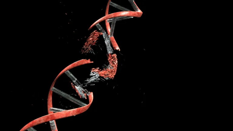 The Paradox of Proliferation: How Cancer’s Own Drive for Growth Triggers Genomic Instability