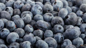 The Power of the Berry: How One Cup of Blueberries Daily Is Revolutionizing Cardiovascular Health