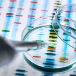 The Precision Nutrition Paradox: Balancing Scientific Potential with Marketing Hype