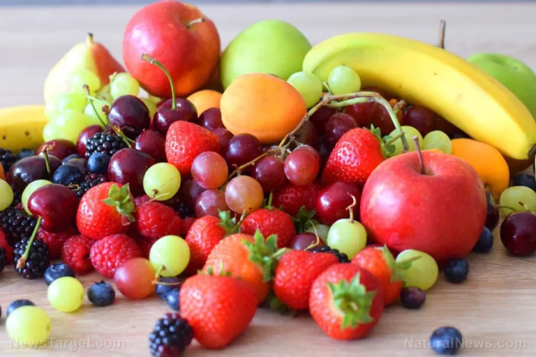 The Quercetin Revolution: How Nature’s "Cellular Superhero" is Redefining Healthy Aging