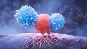 The Resilience of Time: How the Immune System’s “Killer” Cells May Unlock the Secret to Exceptional Longevity
