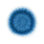 The Rising Threat of Invasive Mold Infections: New CDC Data Reveals Alarming Trends in Post-COVID Patient Outcomes