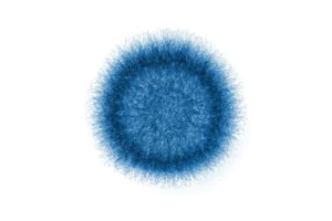 The Rising Threat of Invasive Mold Infections: New CDC Data Reveals Alarming Trends in Post-COVID Patient Outcomes