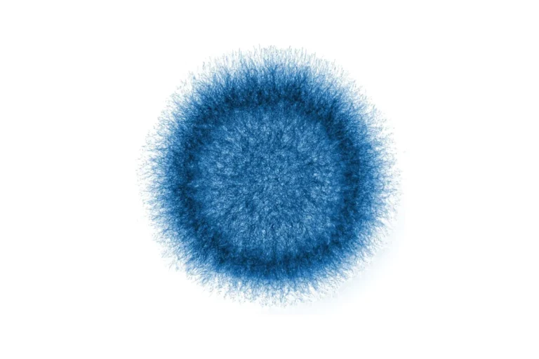 The Rising Threat of Invasive Mold Infections: New CDC Data Reveals Alarming Trends in Post-COVID Patient Outcomes