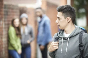 The Shadow of the Playground: Redefining the Epidemic of Bullying in the Modern Era