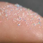 The Silent Invasion: How Microplastics Have Permeated the Remote Pacific Ecosystem