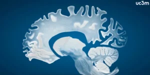The Silent Sentinel: How AI-Driven Sleep Analysis Is Revolutionizing Alzheimer’s Diagnosis