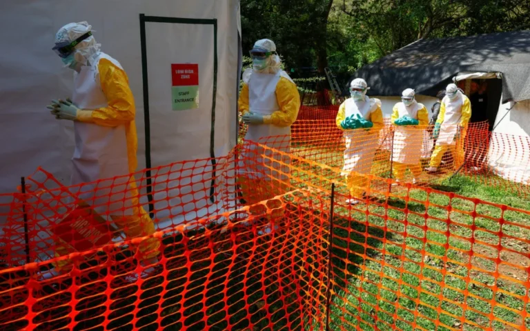 The Silent Surge: How a Delayed Detection Fueled the Deadliest Ebola Outbreak on Record
