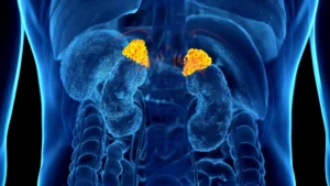 The Silent Toll: AI Unlocks the First Medical Imaging Biomarker for Chronic Stress