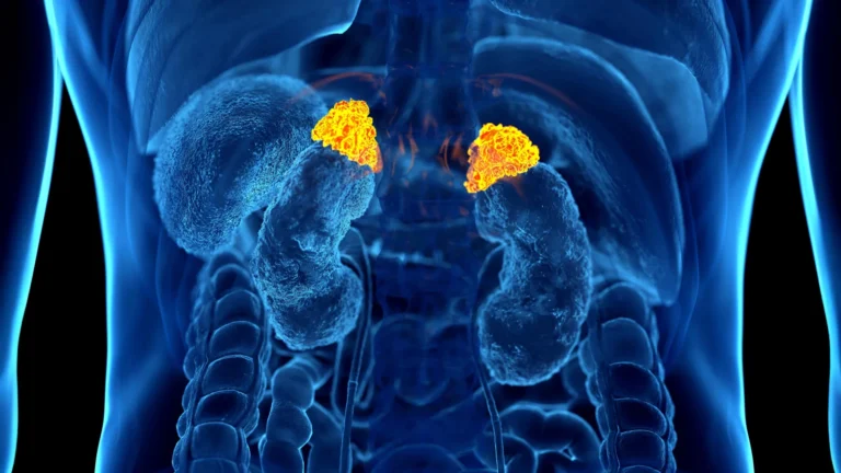 The Silent Toll: AI Unlocks the First Medical Imaging Biomarker for Chronic Stress