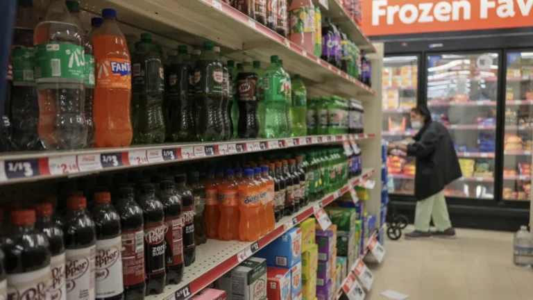 The SNAP Paradox: Do Restrictions on Sugary Drinks Actually Improve Public Health?