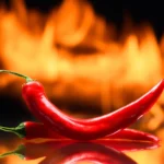 The Spice Paradox: Unpacking the Complex Relationship Between Chili Peppers and Gastrointestinal Cancer