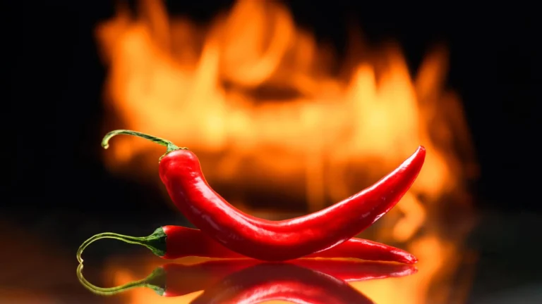 The Spice Paradox: Unpacking the Complex Relationship Between Chili Peppers and Gastrointestinal Cancer