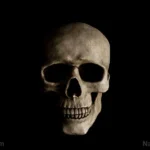 The Surgeon’s Blade: Unearthing 9th-Century Neurosurgery at Wandlebury Hill Fort