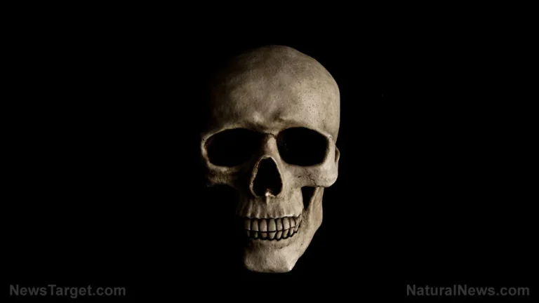 The Surgeon’s Blade: Unearthing 9th-Century Neurosurgery at Wandlebury Hill Fort