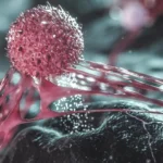 The Sweet Catalyst: How Fructose Fuels the Spread of Aggressive Ovarian Cancer