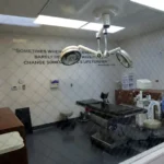 The Unfolding Reality: Assessing the Post-Dobbs Medical Landscape
