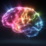 The Vitamin C Connection: New Research Links Nutritional Status to Structural Brain Integrity in Aging Adults
