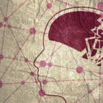 Unlocking the Brain’s Drainage System: A New Frontier in Early Alzheimer’s Detection