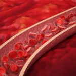 Vaderis Therapeutics Secures $152 Million to Propel Breakthrough HHT Treatment into Phase 3 Trials