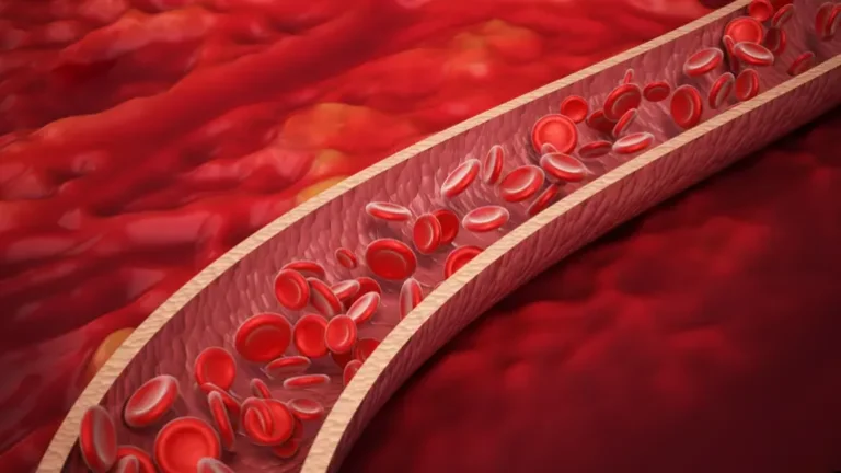 Vaderis Therapeutics Secures $152 Million to Propel Breakthrough HHT Treatment into Phase 3 Trials