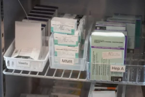 A Nation Divided: The Measles Resurgence and the Politicization of Public Health