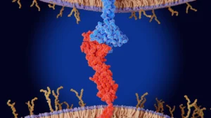 A New Frontier in Oncology: Ivonescimab Challenges the Dominance of Keytruda