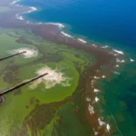 A Sea of Crisis: How Regional Infrastructure Collapse Triggered Israel’s Water Emergency
