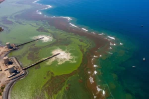 A Sea of Crisis: How Regional Infrastructure Collapse Triggered Israel’s Water Emergency