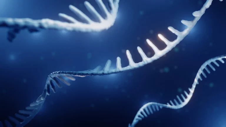 ADARx Pharmaceuticals Secures $535M in Blockbuster IPO to Advance Next-Generation RNA Interference Pipeline