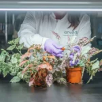 AI-Driven Drug Discovery: Enveda Biosciences Secures $311 Million to Revolutionize Natural Product Chemistry