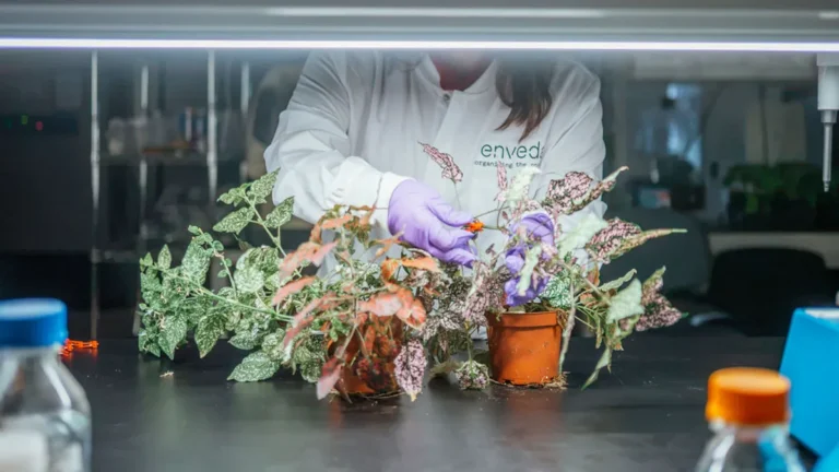 AI-Driven Drug Discovery: Enveda Biosciences Secures $311M Series E to Revolutionize Pharmacognosy