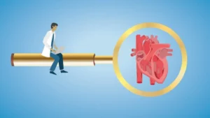 Anatomy Reimagined: The Hidden Discovery Within the Human Heart