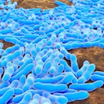 Beyond Glycemic Control: GLP-1 Receptor Agonists Emerge as Potential Shield Against Severe Infections
