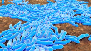 Beyond Glycemic Control: GLP-1 Receptor Agonists Emerge as Potential Shield Against Severe Infections