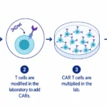 Beyond the Cancer Battle: Understanding the Intersection of CAR T-Cell Therapy and Fertility