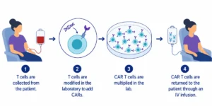 Beyond the Cancer Battle: Understanding the Intersection of CAR T-Cell Therapy and Fertility
