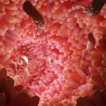 Beyond the Stomach: New Research Links H. pylori to Colorectal Cancer Risk
