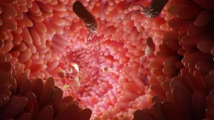 Beyond the Stomach: New Research Links H. pylori to Colorectal Cancer Risk