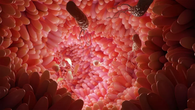 Beyond the Stomach: New Research Links H. pylori to Colorectal Cancer Risk