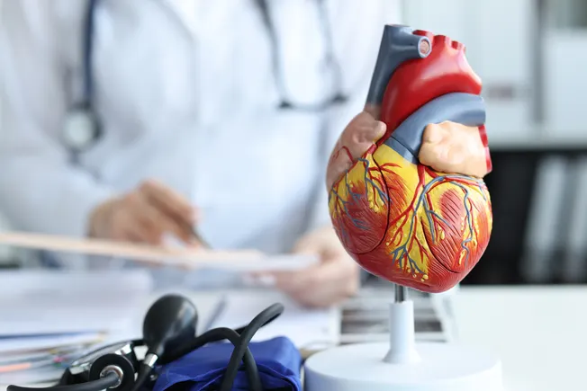 High Stakes in the Heart: Key Clinical Revelations from the 2026 European Society of Cardiology Congress