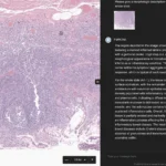 Navigating the Frontier: The FDA’s Regulatory Pivot Toward Generative AI in Healthcare