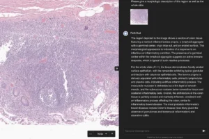 Navigating the Frontier: The FDA’s Regulatory Pivot Toward Generative AI in Healthcare