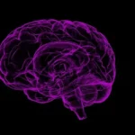 Novartis Bets $125M on Sironax Brain-Delivery Tech Amid Neuroscience Pipeline Turbulence