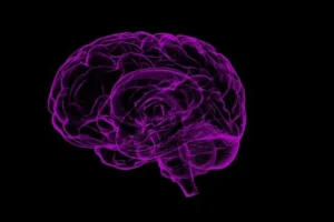 Novartis Bets $125M on Sironax Brain-Delivery Tech Amid Neuroscience Pipeline Turbulence