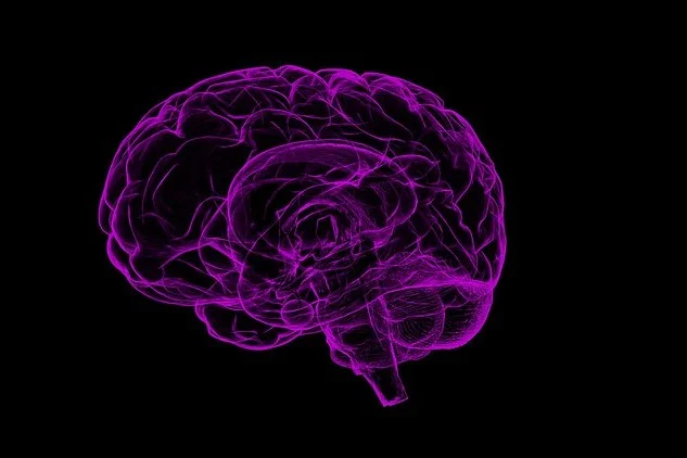 Novartis Bets $125M on Sironax Brain-Delivery Tech Amid Neuroscience Pipeline Turbulence