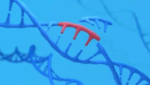 Pivot to the Heart: Cellectis Abandons Allogeneic Cell Therapy Ambitions to Pursue Cardiovascular Gene Editing