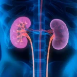 Roche’s Sefaxersen Marks Potential Shift in IgA Nephropathy Treatment Landscape